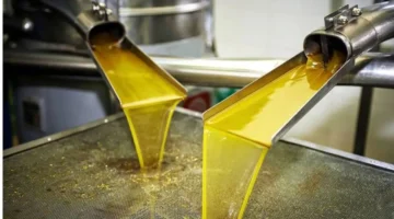 أسعار الزيت ترتفع إلى 140 دينارًا في المزراب بإربد وجرش وتأثيرها على السوق المحلية